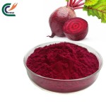 Lions Mane Powder Supplier - Organic Erinaceus