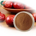 Eucommia Extract Factory - Folium Overall Health