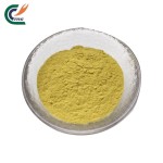 Kakadu Plum Powder Manufacturer - 100% Natural