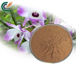 Eucommia Extract Manufacturer - 20:1 Cortex Powder