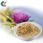 Reishi Powder Supplier - 10%-50% Polysaccharides