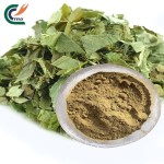 Epimedium Extract Supplier - 10:1 20:1 Powder
