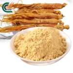 Taro Root Powder Manufacturer - Natural Cocoyam