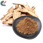 Eucommia Extract Supplier - Ulmoides Bark Cortex