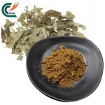 Epimedium Extract Factory - 5%-98% Icariin Powder