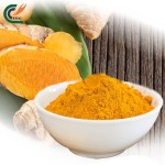 Curcumin Extract Factory - 5%-98% Curcuma Long
