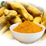 Curcumin Extract Factory - 5%-98% Curcuma Long