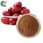 Eucommia Extract Factory - Folium Overall Health