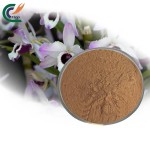 Eucommia Extract Manufacturer - 20:1 Cortex Powder