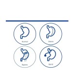 Immune Booster Supplier - Multivitamin Herbal Iron