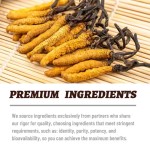 Male Enhancement Capsules Manufacturer - Natural Plant Extract