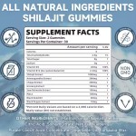 Shilajit Gummies Manufacturer - Himalayan Energy Support