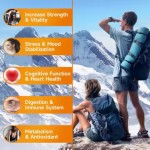 Shilajit Gummies Manufacturer - Himalayan Energy Support