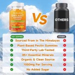 Shilajit Gummies Manufacturer - Himalayan Energy Support