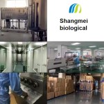 Health Products Factory - Timed Energy Booster Capsules