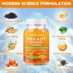 Shilajit Gummies Manufacturer - Himalayan Energy Support