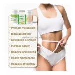 Flat Belly Capsules Supplier - Vegetarian Digestive Support