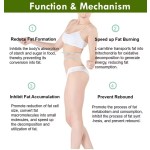 Fat Burning Capsules Factory - Herbal Extract 1 Pill