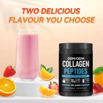 Multi Collagen Powder Factory - Type 1 3 Hair Skin Nails