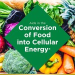 Vitamin B Complex Manufacturer - With C Folic Acid