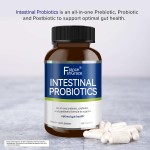 Probiotic Capsules Factory - Organic Gut Health 60ct
