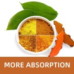 Turmeric Curcumin Supplier - 60ct Liver Function Support