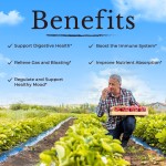 Probiotics Capsules Manufacturer - Prebiotics Digestive Enzymes