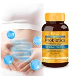 Probiotics Supplement Manufacturer - Digestive Health 60ct