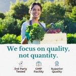 Probiotics Capsules Manufacturer - Prebiotics Digestive Enzymes