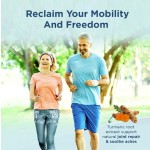 Prebiotics Supplement Manufacturer - Weight Joint Gut