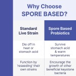 Spore Probiotics Manufacturer - Gut Health Reconditioning