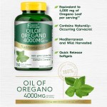Oregano Oil Softgels Factory - 4000mg Intestinal Health