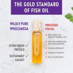 Fish Oil Supplement Factory - Cholesterol Blood Pressure