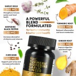 Turmeric Curcumin Factory - Joint Health 120 Capsules