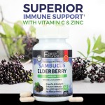 Elderberry Supplement Supplier - Natural Immune Support Capsules