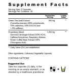 Fat Burner Supplement Supplier - Metabolism Booster Appetite