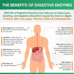 Digestive Enzymes Supplier - Plant Based Vegan 180ct