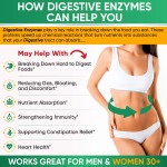 Digestive Enzymes Supplier - Plant Based Vegan 180ct