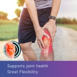 Rheumatism Oil Supplier - Abdominal Joint Pain