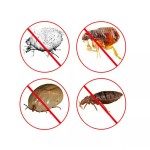 Acne Gel Factory - Anti Bacterial Mite