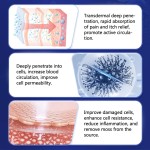 Shower Gel Supplier - Anti Bacterial Bath