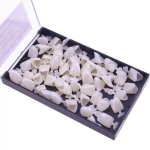 Photo Studio Supplier - Dimmable Light Box