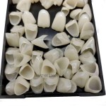 Photo Studio Supplier - Dimmable Light Box