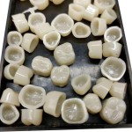 Photo Studio Supplier - Dimmable Light Box