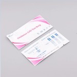 Wig Bands Supplier - Elastic Lace Front