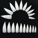Nail Display Card Manufacturer - Sunflower Shaped Polish