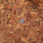 Sweet Food Additive Manufacturer - Custom Formula