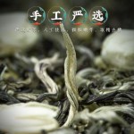 Noni Fruit Tea Supplier - Organic Custom Blend