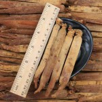 Walnut Kernels Supplier - Food Snack OEM