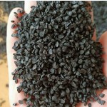 Darjeeling Tea Manufacturer - Blended Bagged OEM